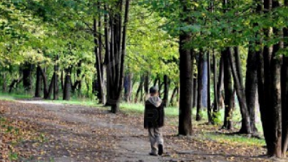 Ιαπωνία: Άφησαν το 7χρονο παιδί τους για τιμωρία στο δάσος και το έχασαν