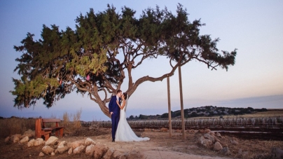 Το πιο «διάσημο» δέντρο στην Κύπρο