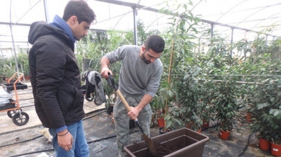 Eκπαιδευτική επίσκεψη και πρακτική άσκηση των φοιτητών του Προγράμματος Σπουδών “Κηποτεχνία και Σχεδιασμός Κήπου” του KES College στο φυτώριο Σολωμού και στο Vardakis Farm