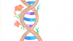 Happy Birthday DNA! 25 Απριλίου, η Παγκόσμια Ημέρα DNA